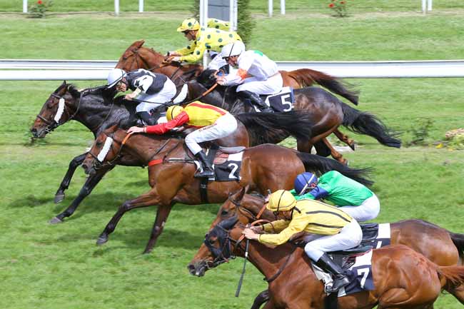 Photo d'arrivée de la course pmu GRAND PRIX D'AQUITAINE à BORDEAUX-LE BOUSCAT le Jeudi 12 mai 2016