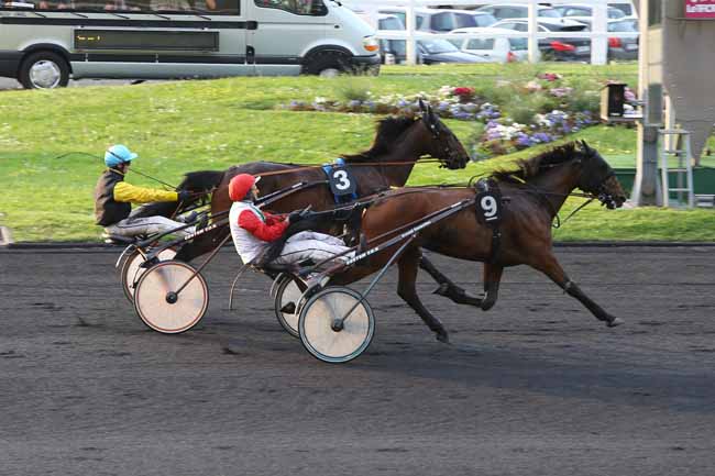 Photo d'arrivée de la course pmu PRIX REGULUS à PARIS-VINCENNES le Vendredi 13 mai 2016