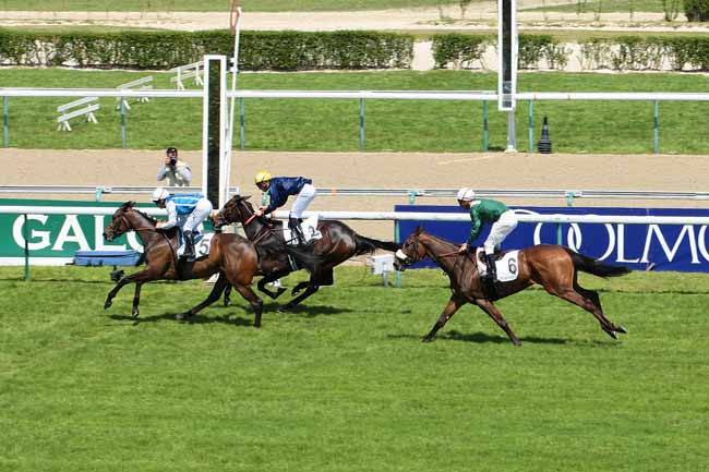 Photo d'arrivée de la course pmu PRIX DE LA FLANDRIE à DEAUVILLE le Lundi 16 mai 2016