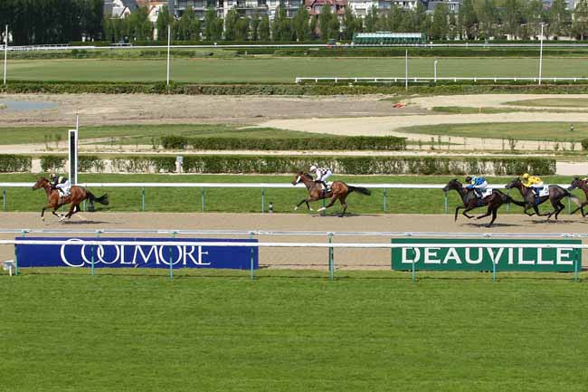 Photo d'arrivée de la course pmu PRIX DE MOLAY LITTRY à DEAUVILLE le Lundi 16 mai 2016