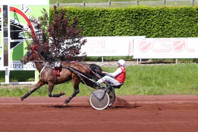 Photo d'arrivée de la course pmu PRIX CONSEIL DEPARTEMENTAL DE LA LOIRE à SAINT GALMIER le Mardi 17 mai 2016