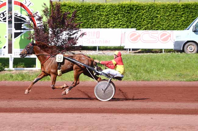 Photo d'arrivée de la course pmu PRIX FRANCE BLEU SAINT-ETIENNE LOIRE à SAINT GALMIER le Mardi 17 mai 2016