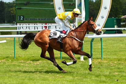 Photo d'arrivée de la course pmu PRIX GENERAL DE SAINT-DIDIER à COMPIEGNE le Mardi 17 mai 2016