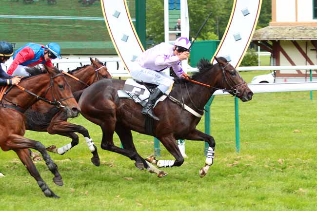 Photo d'arrivée de la course pmu PRIX DE LA FORET à COMPIEGNE le Mardi 17 mai 2016