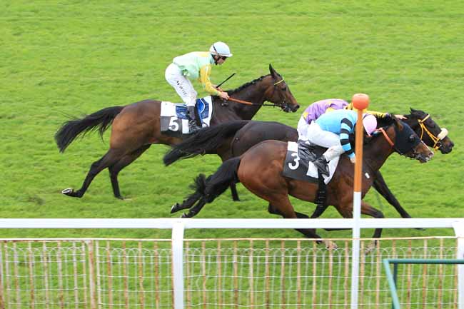Photo d'arrivée de la course pmu PRIX DES PINS LARICIO à FONTAINEBLEAU le Jeudi 19 mai 2016