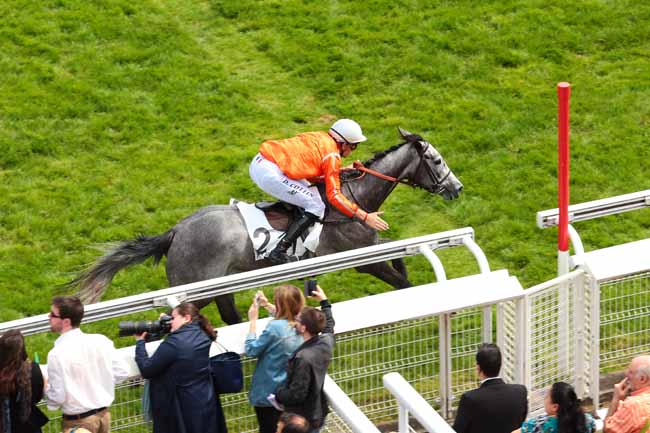 Photo d'arrivée de la course pmu PRIX D'IENA à AUTEUIL le Samedi 21 mai 2016
