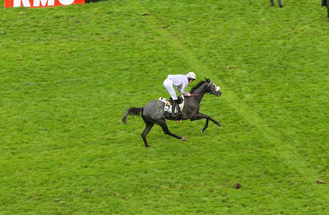 Photo d'arrivée de la course pmu PRIX D'ARLES à AUTEUIL le Dimanche 22 mai 2016