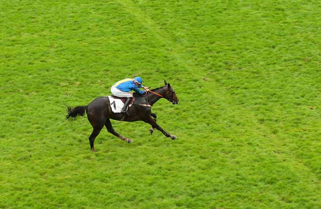 Photo d'arrivée de la course pmu PRIX TIP MOSS à AUTEUIL le Dimanche 22 mai 2016