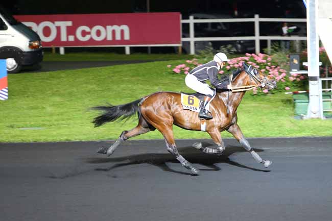 Photo d'arrivée de la course pmu PRIX AURIGA à PARIS-VINCENNES le Vendredi 27 mai 2016