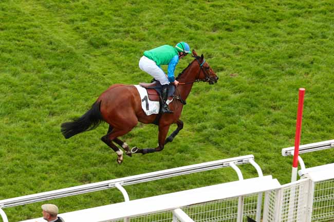 Photo d'arrivée de la course pmu PRIX DE SAINT-GERMAIN à AUTEUIL le Vendredi 27 mai 2016