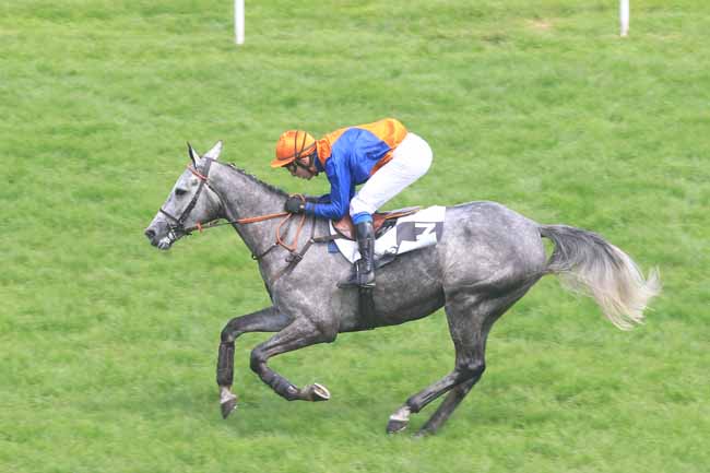 Photo d'arrivée de la course pmu PRIX HYERES III à STRASBOURG le Mardi 31 mai 2016