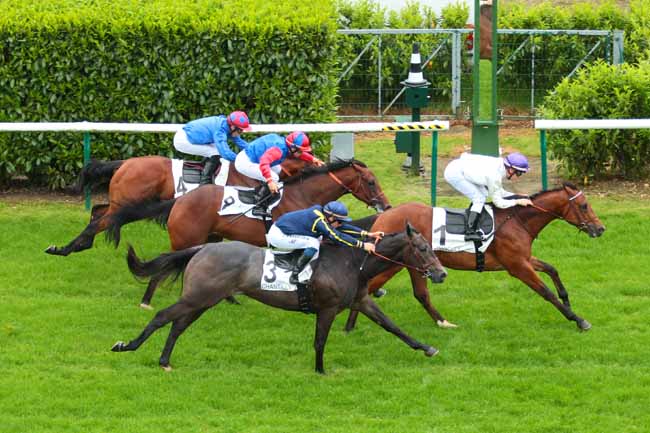 Photo d'arrivée de la course pmu PRIX D'ORGEMONT à CHANTILLY le Mercredi 1 juin 2016