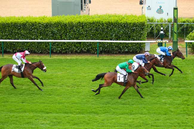 Photo d'arrivée de la course pmu PRIX DE LA REINE BLANCHE à CHANTILLY le Mercredi 1 juin 2016