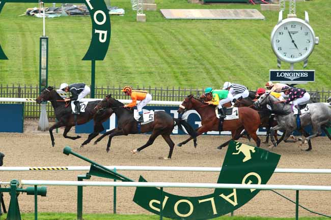 Photo d'arrivée de la course pmu PRIX DU BOIS DE LA VIGNE à CHANTILLY le Mercredi 1 juin 2016