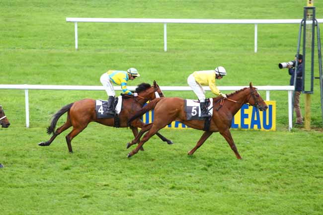 Photo d'arrivée de la course pmu PRIX DE LA BRIE à FONTAINEBLEAU le Jeudi 2 juin 2016