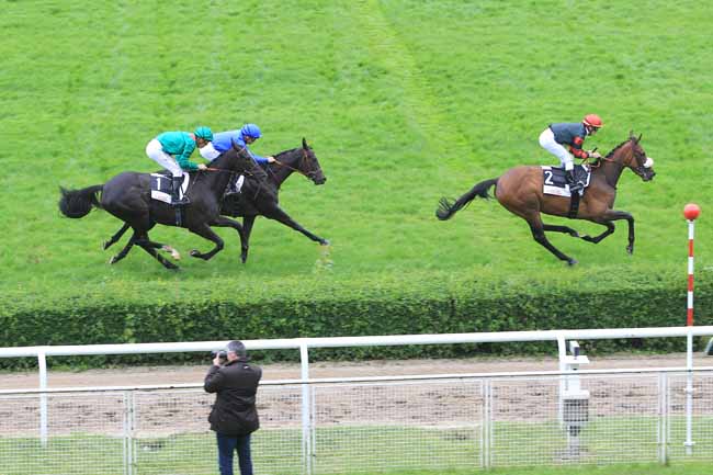 Photo d'arrivée de la course pmu PRIX DE LA CERISAIE à SAINT-CLOUD le Vendredi 3 juin 2016