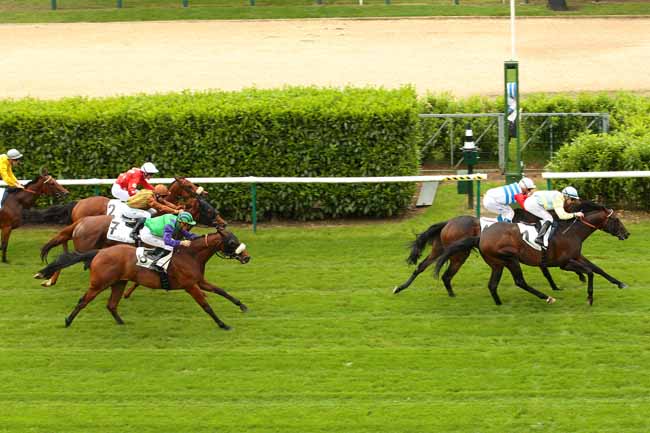 Photo d'arrivée de la course pmu PRIX DU GROS-CHENE à CHANTILLY le Dimanche 5 juin 2016