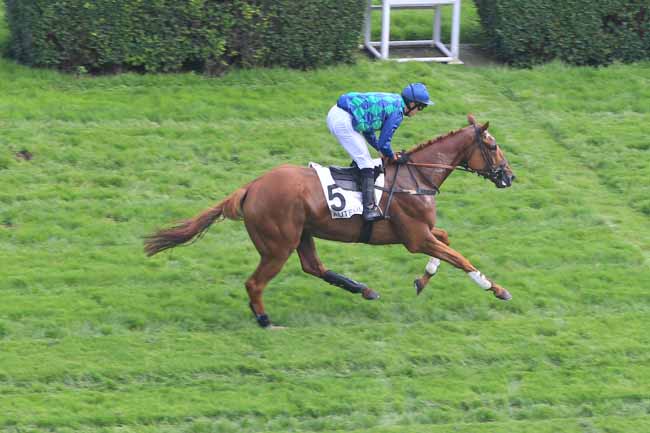 Photo d'arrivée de la course pmu PRIX JAMES HENNESSY à AUTEUIL le Lundi 6 juin 2016