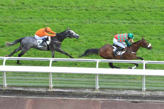 Photo d'arrivée de la course pmu PRIX MIROR à AUTEUIL le Lundi 6 juin 2016