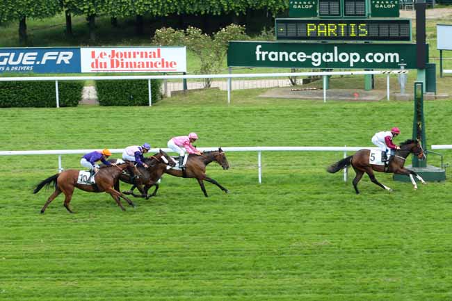 Photo d'arrivée de la course pmu PRIX DE VILLE-D'AVRAY à SAINT-CLOUD le Mardi 7 juin 2016