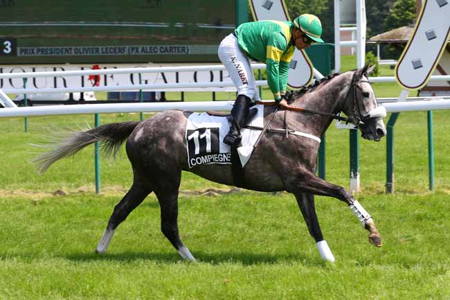 Photo d'arrivée de la course pmu PRIX PRESIDENT OLIVIER LECERF à COMPIEGNE le Mardi 7 juin 2016