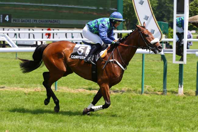 Photo d'arrivée de la course pmu PRIX GACKO à COMPIEGNE le Mardi 7 juin 2016