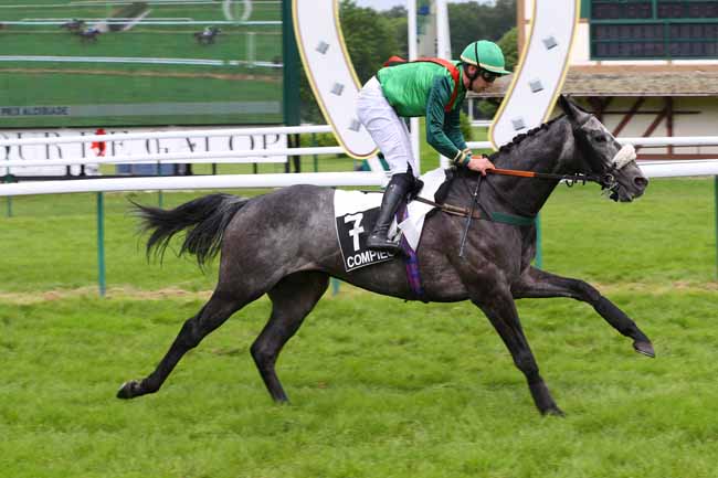 Photo d'arrivée de la course pmu PRIX ALCIBIADE à COMPIEGNE le Mardi 7 juin 2016