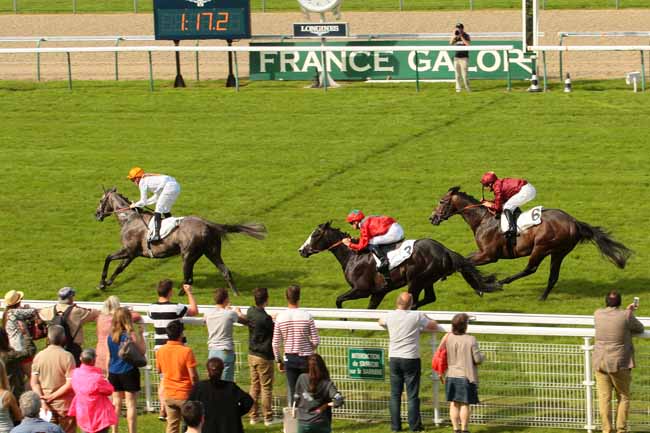 Photo d'arrivée de la course pmu PRIX MARCHAND D'OR à DEAUVILLE le Jeudi 9 juin 2016