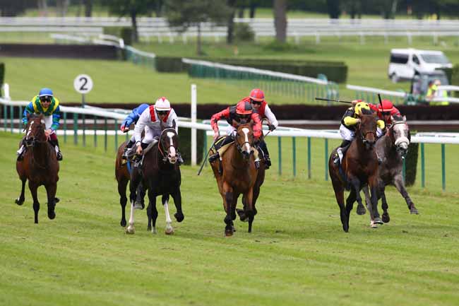 Photo d'arrivée de la course pmu PRIX DE L'EPERVIER à COMPIEGNE le Vendredi 10 juin 2016