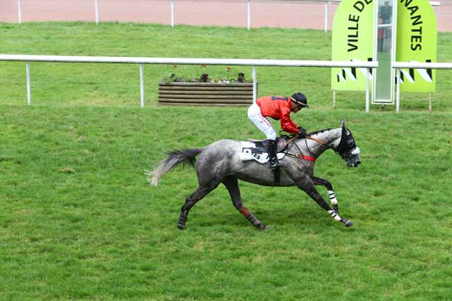 Photo d'arrivée de la course pmu PRIX KERIVON à NANTES le Mardi 14 juin 2016