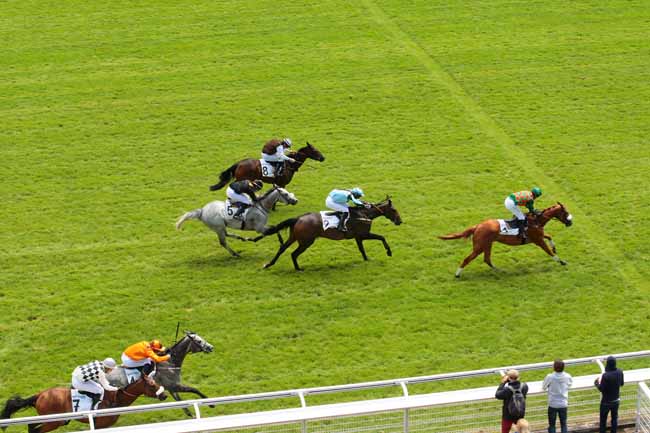 Photo d'arrivée de la course pmu PRIX DANIEL LESCALLE à AUTEUIL le Mercredi 15 juin 2016