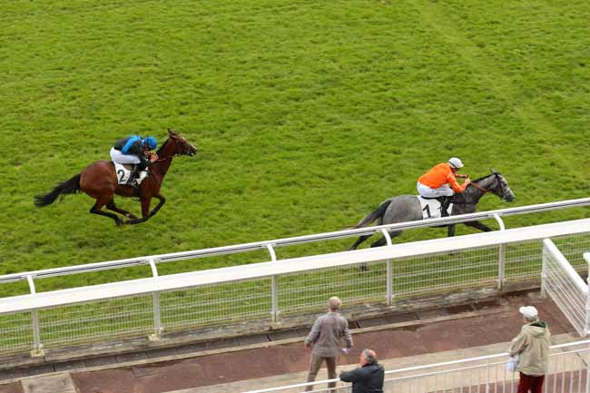 Photo d'arrivée de la course pmu PRIX SAGAN à AUTEUIL le Mercredi 15 juin 2016