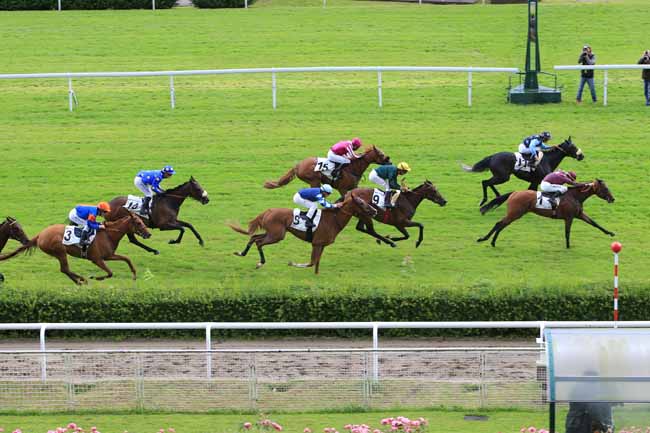 Photo d'arrivée de la course pmu PRIX DU MANDINET à SAINT-CLOUD le Jeudi 16 juin 2016