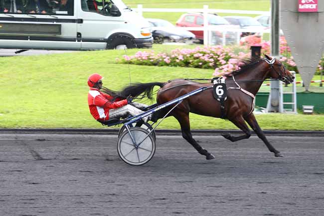 Photo d'arrivée de la course pmu PRIX TOLOSA à PARIS-VINCENNES le Vendredi 17 juin 2016