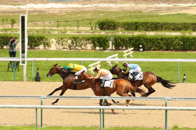 Photo d'arrivée de la course pmu PRIX GIRL FRIEND à DEAUVILLE le Vendredi 17 juin 2016
