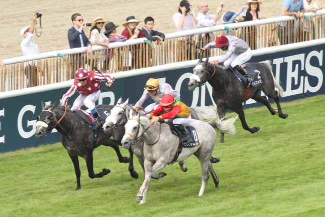 Photo d'arrivée de la course pmu QATAR DERBY DES PUR-SANG ARABE DE 4 ANS à CHANTILLY le Dimanche 19 juin 2016