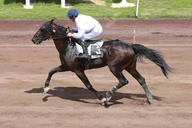 Photo d'arrivée de la course pmu PRIX DU JOURNAL L'UNION à REIMS le Mercredi 22 juin 2016