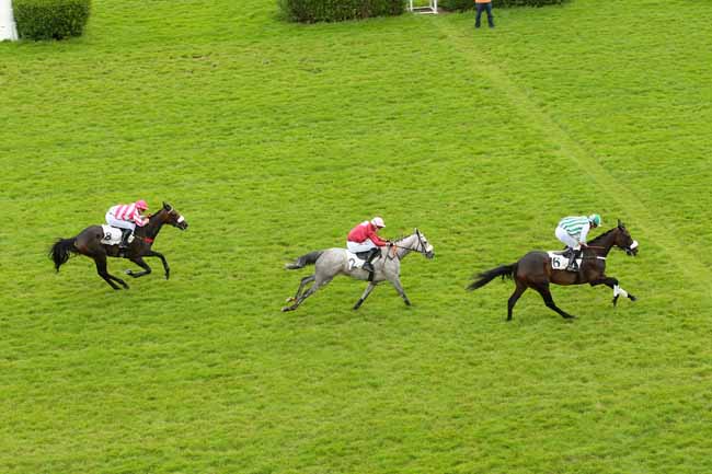 Photo d'arrivée de la course pmu PRIX CHRISTIAN DE TREDERN à AUTEUIL le Lundi 27 juin 2016