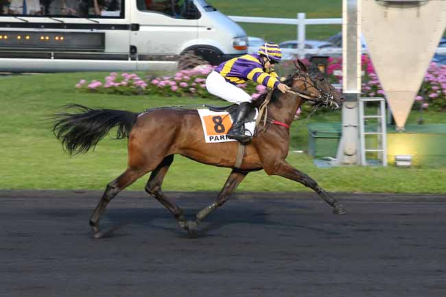 Photo d'arrivée de la course pmu PRIX OCEANA à PARIS-VINCENNES le Mardi 28 juin 2016
