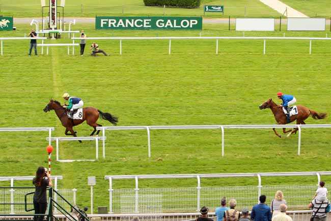 Photo d'arrivée de la course pmu PRIX ROSE ROYALE à MAISONS-LAFFITTE le Mercredi 29 juin 2016
