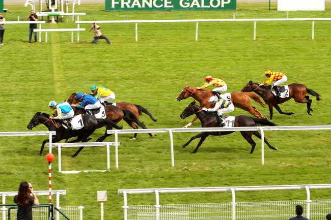 Photo d'arrivée de la course pmu PRIX CRICKET BALL à MAISONS-LAFFITTE le Mercredi 29 juin 2016
