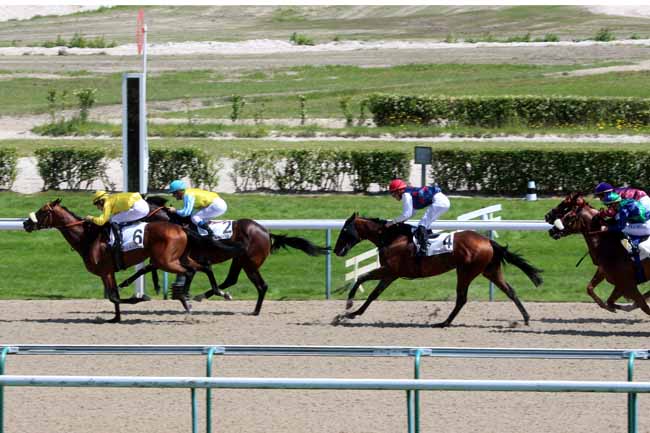 Photo d'arrivée de la course pmu PRIX DE BRETONCELLES à DEAUVILLE le Mercredi 6 juillet 2016