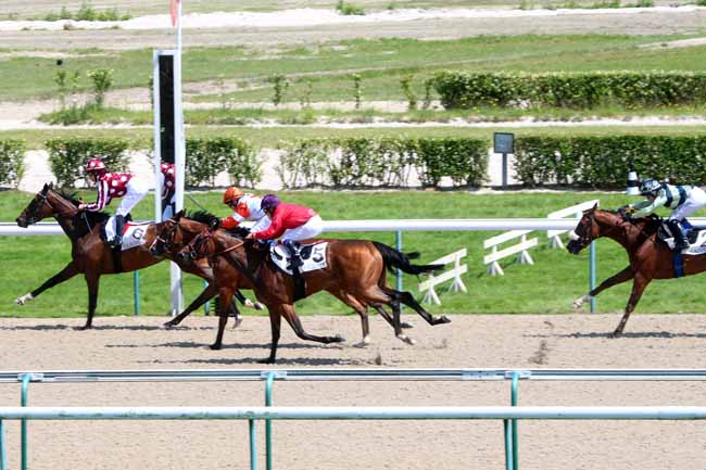 Photo d'arrivée de la course pmu PRIX DU VAL DE REUIL à DEAUVILLE le Mercredi 6 juillet 2016