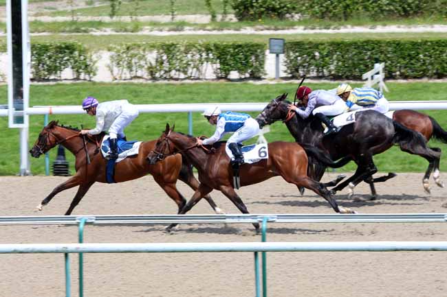 Photo d'arrivée de la course pmu PRIX BLUSHING GROOM à DEAUVILLE le Mercredi 6 juillet 2016