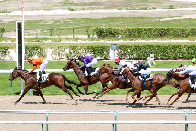 Photo d'arrivée de la course pmu PRIX D'HOULLEY à DEAUVILLE le Mercredi 6 juillet 2016