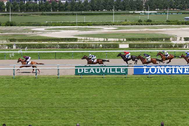 Photo d'arrivée de la course pmu PRIX DE MENIL-VICOMTE à DEAUVILLE le Vendredi 8 juillet 2016