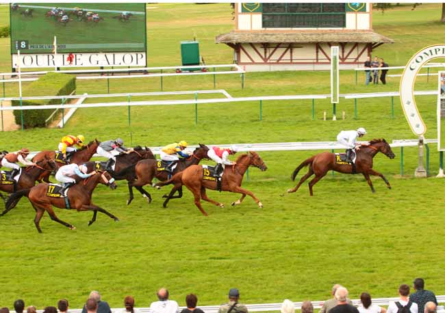 Photo d'arrivée de la course pmu PRIX DE L'AVESNOIS à COMPIEGNE le Lundi 11 juillet 2016