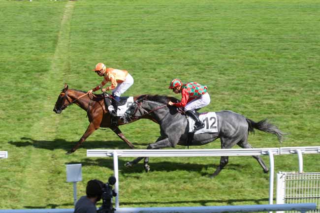 Photo d'arrivée de la course pmu PRIX D'AUVERGNE à MAISONS-LAFFITTE le Dimanche 17 juillet 2016