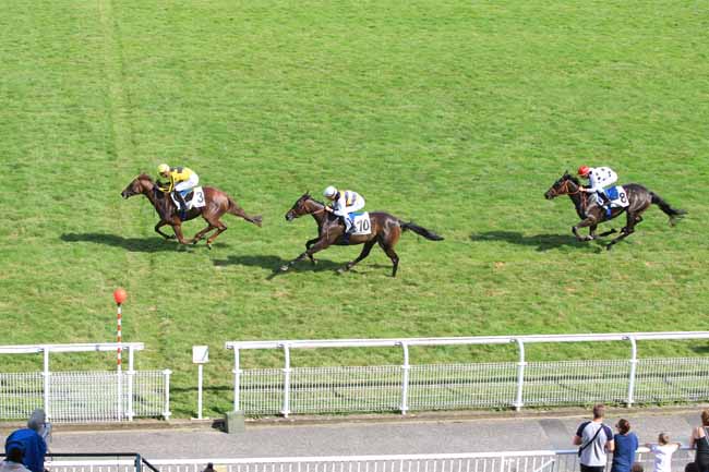 Photo d'arrivée de la course pmu PRIX DE SAINT GERMAIN-EN-LAYE à MAISONS-LAFFITTE le Dimanche 24 juillet 2016