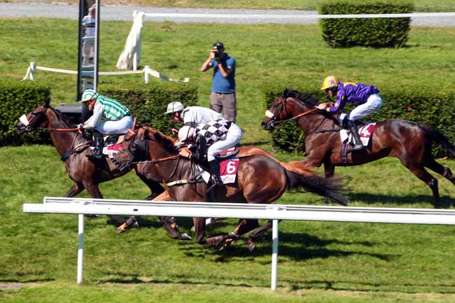 Photo d'arrivée de la course pmu PRIX DE RANVILLE à CLAIREFONTAINE le Samedi 6 août 2016